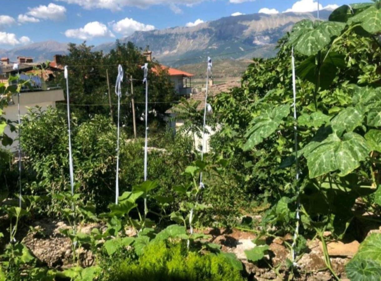 Miziriguesthouse Gjirokastër Екстериор снимка
